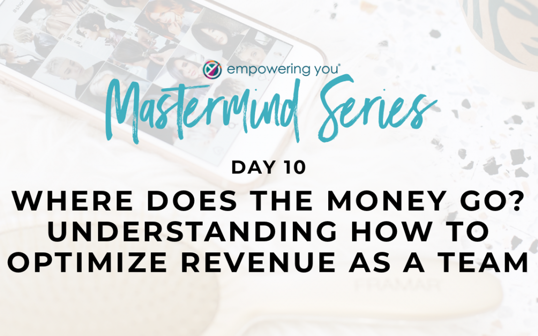 Where Does the Money Go? Understanding How to Optimize Revenue as a Team